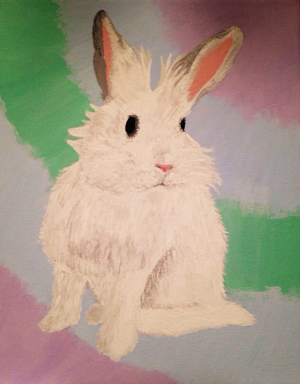Lily the Rabbit